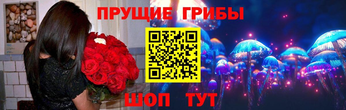 Псилоцибиновые грибы Cubensis  где можно купить   Вход с VPN  Кириши  Галлюциногенные грибы мицелий 